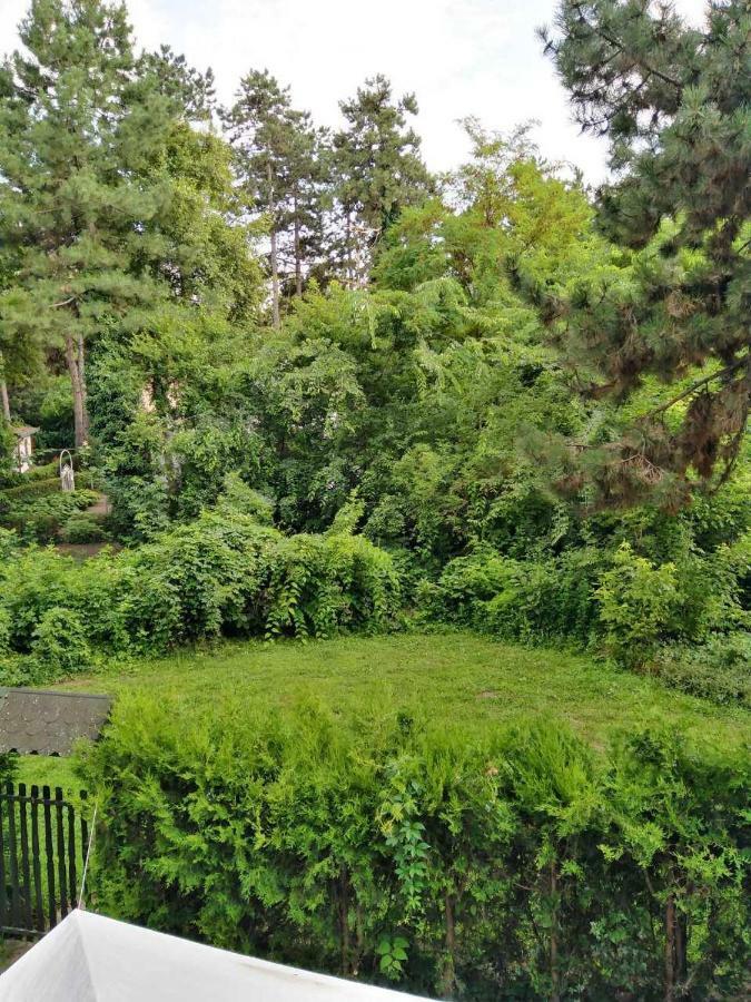 Vila Eden Palić Zewnętrze zdjęcie